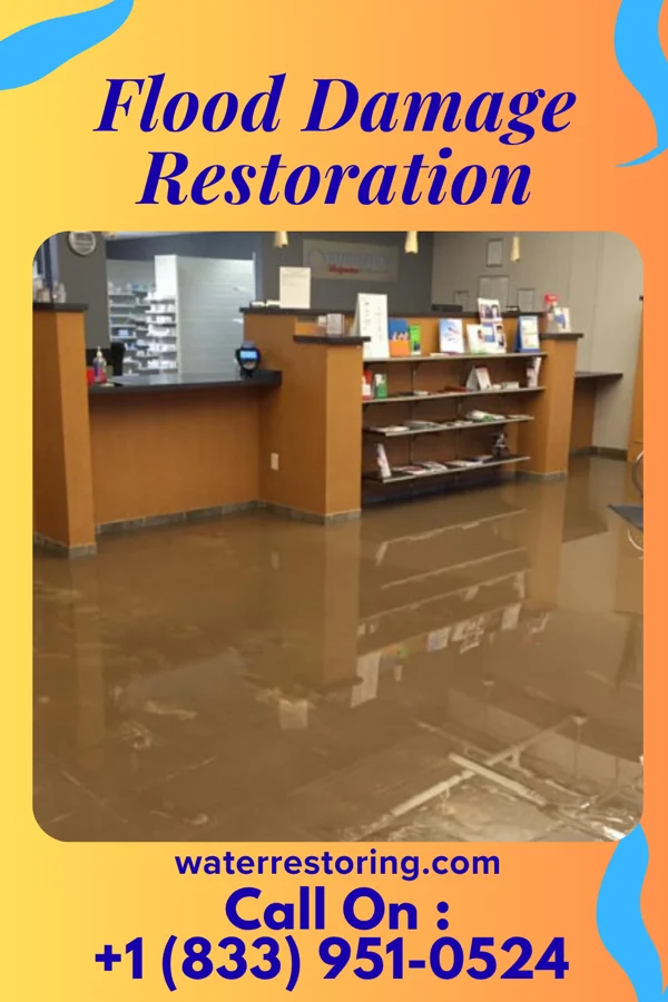 Flood Damage Restoration in Marshall, IL